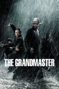 The Grandmaster (2013) Dual Audio Hindi ORG-English Esubs x264 BRRip 480p [360MB] | 720p [1GB] mkv