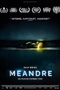 Meander (2020) Dual Audio Hindi ORG-English x264 Esub BluRay 480p [328MB] | 720p [967MB] mkv